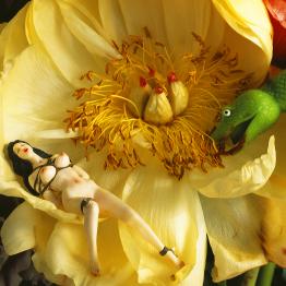 Detail of a work by Nobuyoshi Araki - "Monstrous Paradise" series